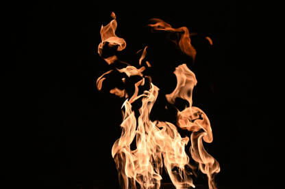 Plamen vatre. Gori vatra na crnoj pozadini.