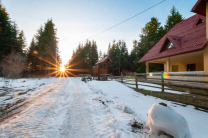 Sunce kroz grane, zimska idila