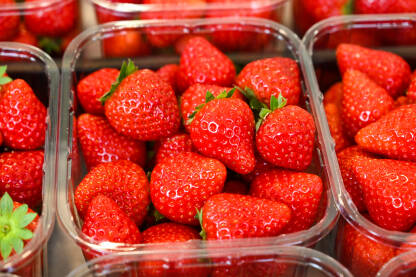 Jagode na pijaci. Krupni plan zrelih crvenih jagoda.