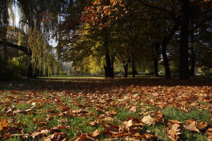 Park u jesenim bojama Na fotografiji se nalazi dio parka u jesenjem periodu.