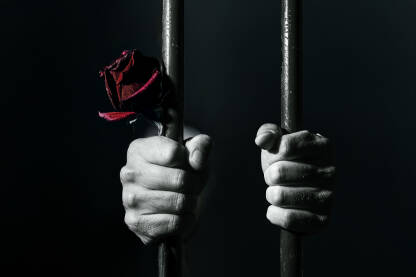 Muškarac iza rešetaka, drži uvelu crvenu ružu. Kažnjavnje nasilja.

Fotografija besplatna za ilustrovanje medijskih sadržaja o nasilju, svako drugo korištenje je zabranjeno.

Autor: Amel Uzunović