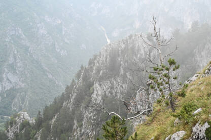 Kanjon rijeke Tare Kanjon rijeke Tare i planina Durmitor. Magla na planini. Crna Gora.