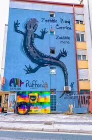 Prenjski alpski daždevnjak, mural u Jablanici Crtež na zidu zgrade, crnog daždevnjaka, u okviru projekta zaštite prenjskog alpskog daždevnjaka – Salamandra atra prenjensis. U Bosni i Hercegovini se pojavljuje na planini Prenj i Čvrsnica.