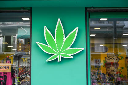 Trgovina sa medicinskim kanabisom. Sativa headshop. Trgovina sa medicinskim kanabisom. Simbol marihuane. Cannabis sativa prodavnica u gradu.