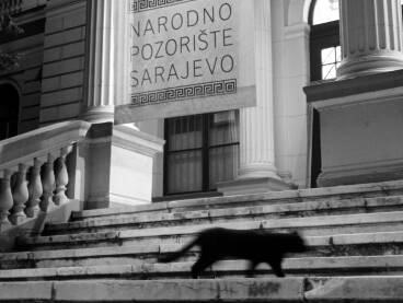 Mačak ispred Narodnog Mačka na stepeništu Narodnog pozorišta