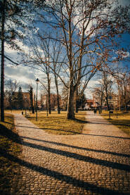 Centralni gradski park se nalazi u pješačkoj zoni historijske jezgre Tuzle.
