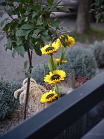 Umjetno cvijece suncokret. Posadjeno pored ograde. Umjetno zuto cvijece suncokret, koje je postavljeno pored ograde.