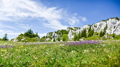 Planina Klekovača Mamut stijena, planina Klekovača