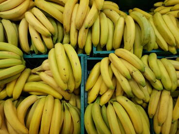 Banane u gajbama Banane u gajbama na polici u prodavnici - prodaja svježeg voća;