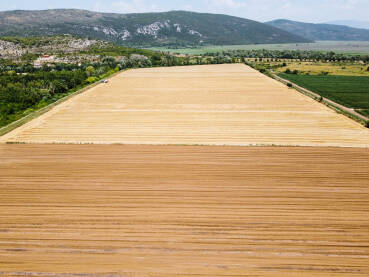 Poljoprivredno zemljište Žetva žitarica. Poljoprivredno zemljište. Pogled dronom iz zraka na polje u prirodi ljeti.