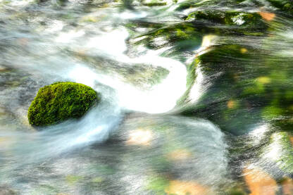 Riječni tok u proljeće, duga ekspozicija. Kristalno čista voda koja teče preko stijena i zelene mahovine. Voda polako teče po kamenju blizu izvora. Mali slap u prirodi.