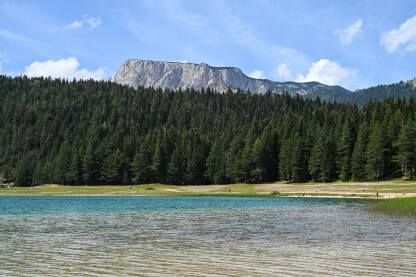 Prelijepo prirodno jezero okruženo šumom. Crno jezero, Durmitor Prelijepo prirodno jezero okruženo šumom. Crno jezero na planini Durmitor, Crna Gora.