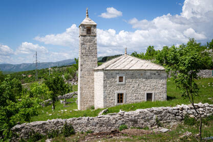 Avdića džamija u Planoj Avdića džamija, je džamija na Planoj u Opštini Bileća. Izgrađena je 1617. godine što je bilo vidljivo iz natpisa uklesanog na kamenom luku džamijskih vrata. Proglašena je nacionalnim spomenikom BiH