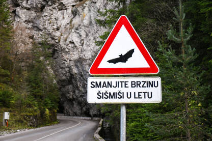 Znak upozorenja na cesti