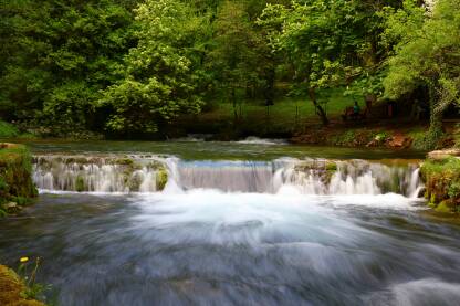 Izvor rijeke Bosne.