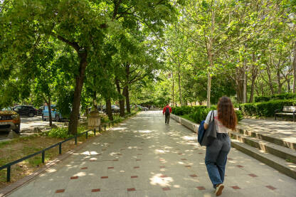 Gradsko zelenilo. Ulice u glavnom gradu Rumunije. Urbano zelenilo. Drveće na ulici.