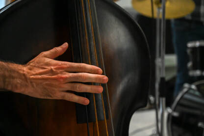 Muzičar svira kontrabas Muzičar svira kontrabas . Krupni plan ruke muškarca kojij svira bas na koncertu.