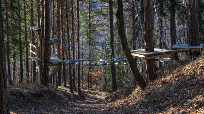 Adrenalinski park u šumi Šumska staza iznad koje se proteže dio adrenalinskog parka