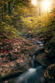 Prirodna bogatstva na planini Plješevici kod Bihaća.
