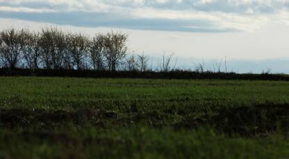 Polje obradjenog zemljista, pejzaz