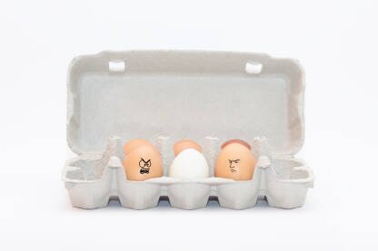 Simbolična ilustracija šest jaja u ljusci, gdje je centralno jaje bijele boje. Kontrast u boji naglašava individualnost, čistoću i snagu da se izdvoji iz okoline.