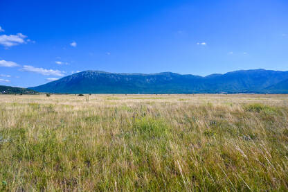 Livanjsko polje Livanjsko polje, Bosna i Hercegovina. Polje i planine ljeti.