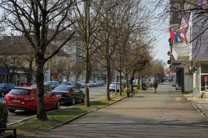 Pjesacki dio Vidovdanske ulice u Gradišci. Glavna ulica.