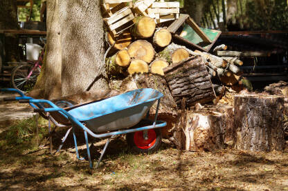 Plava kolica sa sječenim balvanima u šumi.