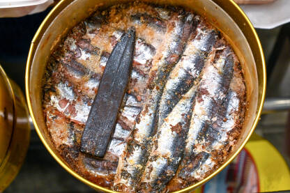 Usoljena riba. Usoljene sardine Usoljena riba. Usoljene sardine u kutiji.