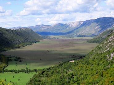 Dabarsko polje je kraško polje u Bosni i Hercegovini, u općini Berkovići i općini Bileća. Najveće naselje u polju su Berkovići.