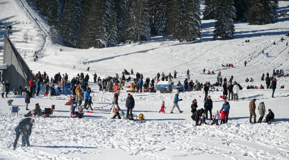 Mnogo ljudi se zabavlja na planini. Mnogo ljudi se zabavlja na planini. Grupa turista šeta, skija i sanjka se zimi. Ljudi uživaju u snijegu na planini Igman.