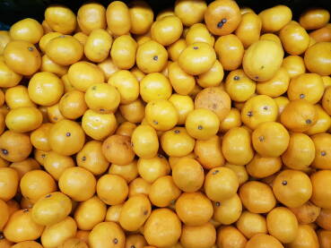 Mandarine u prodavnici Mandarine u gajbi na polici u prodavnici; kisele mandarine za prodaju.