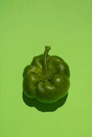 Svježa zelena paprika Svježa zelena paprika položena na zelenoj pozadini.