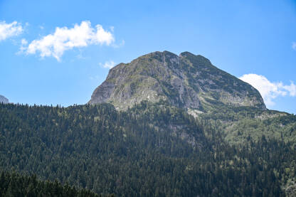 Durmitor Planina Durmitor, Crna Gora.