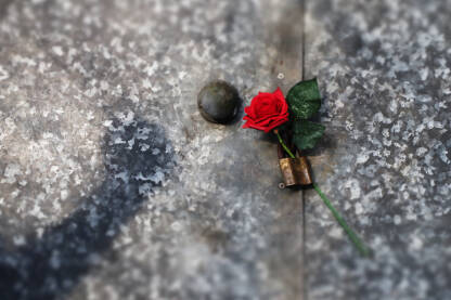 Crvena ruža sa katancem, bačena na pod. Nasilje nad ženama. 

Fotografija besplatna za ilustrovanje medijskih sadržaja o nasilju, svako drugo korištenje je zabranjeno.

Autorka: Svjetlana Panić