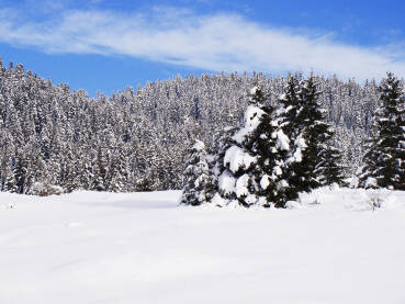 Planina Igman zimi Snijeg, zimska sezona na planini Igman