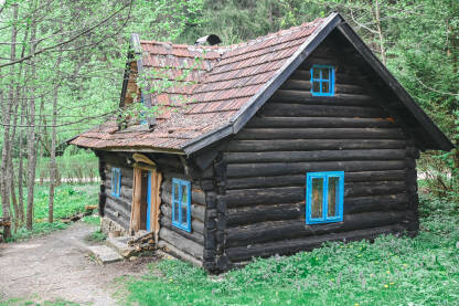 Zelenkovac, drvena brvnara Brvnara sa plavim prozorima u šumi na Zelenkovcu kod Mrkonjić Grada.