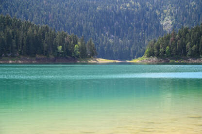 Crno jezero, Durmitor Prelijepo prirodno jezero okruženo šumom. Crno jezero na planini Durmitor, Crna Gora.