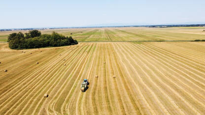 Traktor skuplja slamu Traktor skuplja slamu u polju, snimak dronom. Traktor pravi bale sijena. Poljoprivreda.