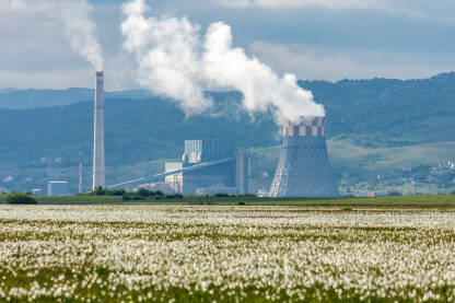 Gatačko polje i Termoelektrana Gacko Gatačko polje pokriveno košutama i Termoelektrana Gacko u pozadini.