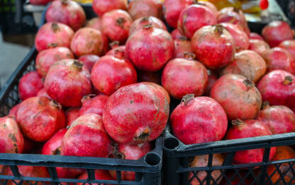 Nar na pijaci. Svježi i zreli nar na polici u prodavnici. Šipak