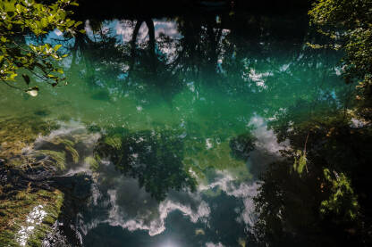 Refleksija Refleksija neba i drveća u našoj ljepotici Uni, na Japodskim otocima.
