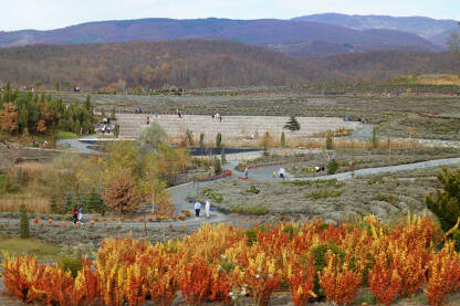 "Zvjezdana noć" Vincenta van Gogha kao park prirode u Visokom.