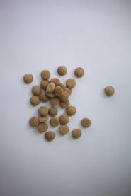 Granule za psa Braon okrugle granule za psa rasute na beloj pozadini.