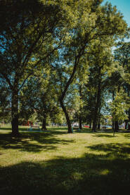 Gradski park Gradski park u Brčkom