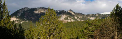 Vrhovi planina Panorama pogled na goru iz Masne Luke
