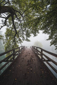 Most u magli Drveni most u magli, otoka Bihać.