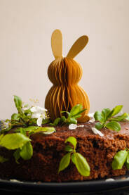 Torta sa papirnim zecom i beharom na stolu.