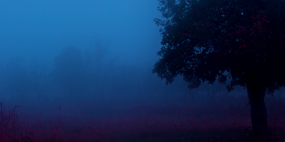 Priroda u magli Scena prirode sa karakterom misterije i melanholije uz izražene boje i maglu koje doprinose atmosferi.