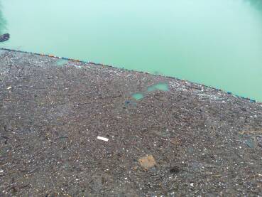 Na Drini kod Višegrada nalaze se tone smeća, a godišnje se iz jezera HE Višegrad se izvadi od 6.000 do 8.000 metara kubnih.